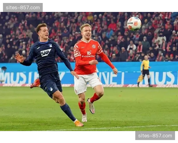 汉堡不莱梅同积31分，北方双雄保级命运相互交织